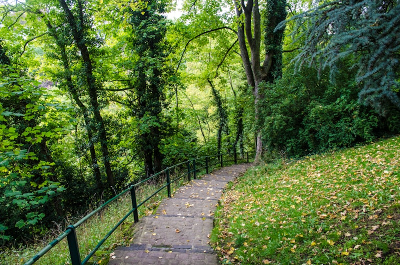 Lüksemburg Hakkında Bilmeniz Gerekenler
