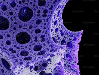 Mikronezya Hakkında Bilmeniz Gerekenler