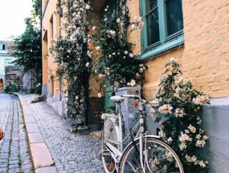 Norveç Hakkında Bilmeniz Gerekenler