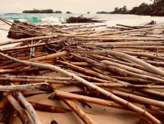 Panama Hakkında Bilmeniz Gerekenler