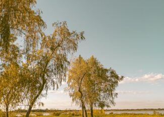 Paraguay Hakkında Bilmeniz Gerekenler