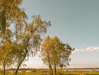 Paraguay Hakkında Bilmeniz Gerekenler