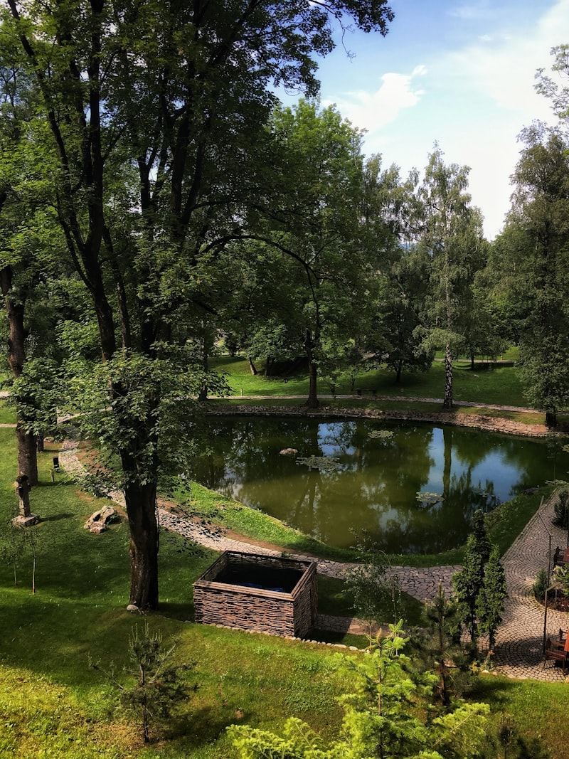 Romanya Hakkında Bilmeniz Gerekenler Romanya Hakkında Bilmeniz Gerekenler