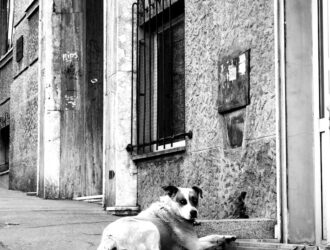 Sırbistan Hakkında Bilmeniz Gerekenler