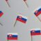 Slovakya Hakkında Bilmeniz Gerekenler