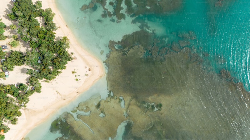 Tuvalu Hakkında Bilmeniz Gerekenler 1 Tuvalu Hakkında Bilmeniz Gerekenler