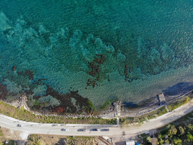 Yeni Zelanda Asgari Ücret Ne Kadar? 1 Yeni Zelanda Asgari Ücret Ne Kadar?