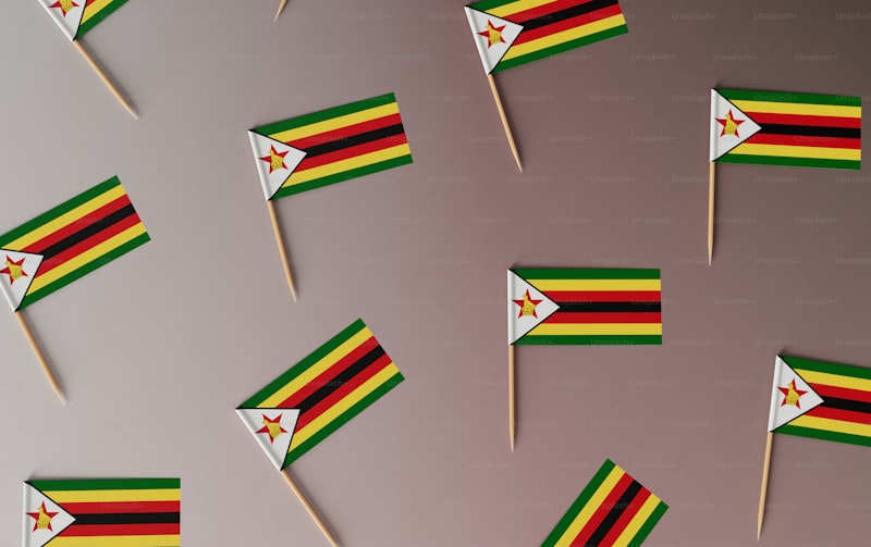 Zimbabve Asgari Ücret Ne Kadar? 1 Zimbabve Asgari Ücret Ne Kadar?